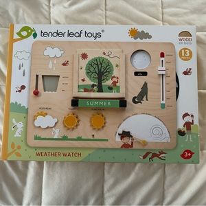 TENDERLEAF NIB wooden 9 Weather Watch Montessori Wooden Homeschool Toy